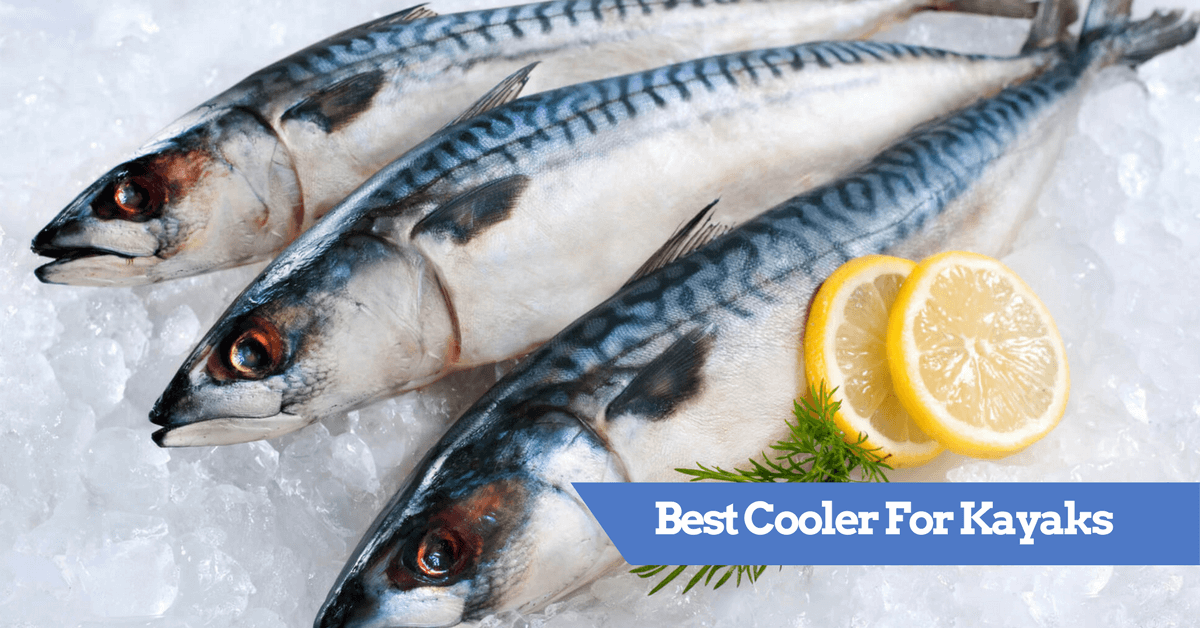 7 Best Kayak Coolers for [2023 REVIEW] Keep Ice Chilled