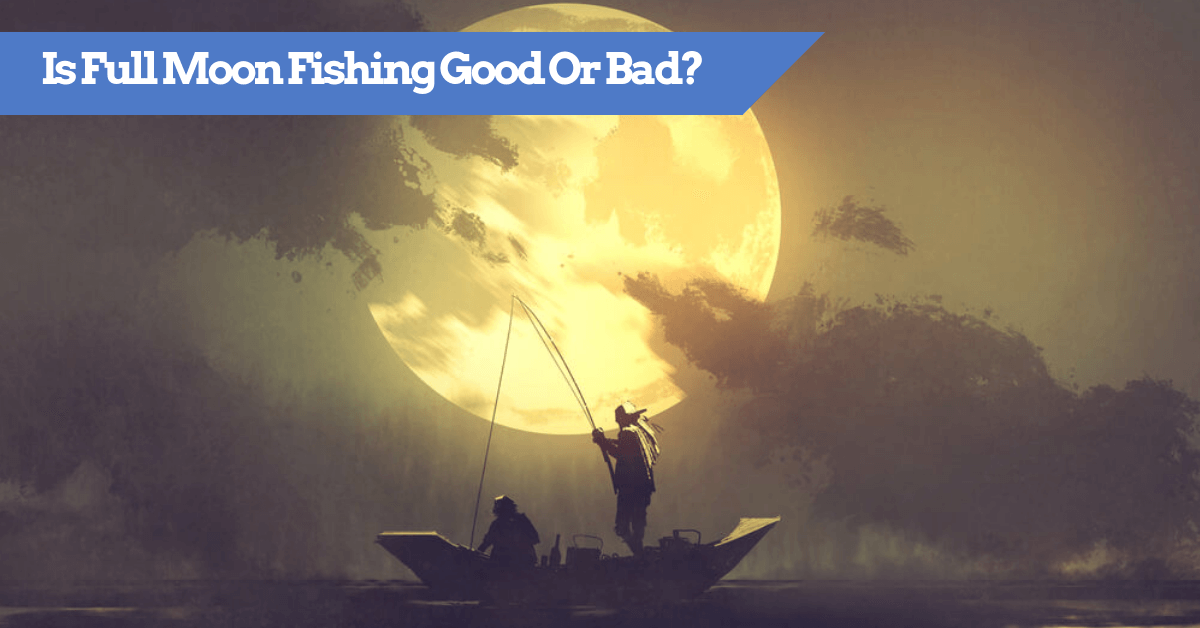 Full Moon Fishing - Successful TIPS for Moon Phase Anglers