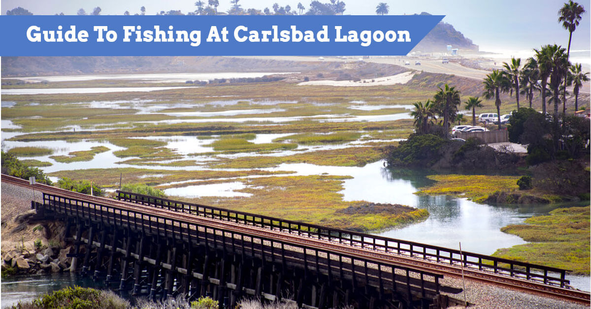 Carlsbad Lagoon Full Fishing Guide On The Best Places To Catch Fish