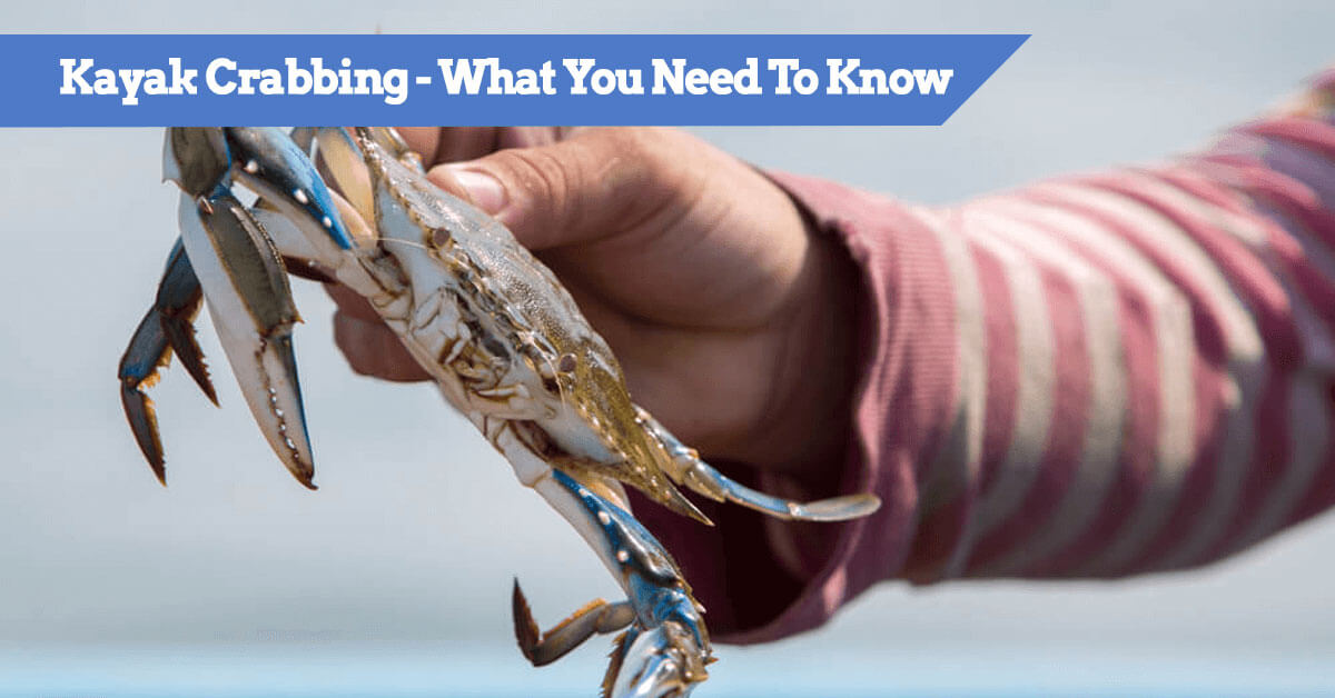 Kayak Crabbing Guide Where to Catch (Tips, Gear, Setup) Kayak Guru