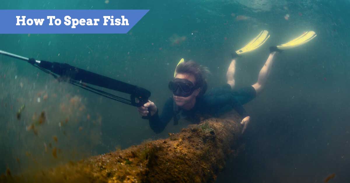 How To Spear Fish With A Pole Spear Or Speargun Tips, Guide & Gear