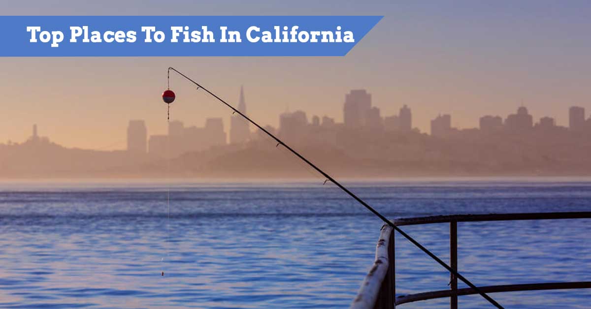 Best Places To Go Fishing California (How Much Licenses & Places To Go)