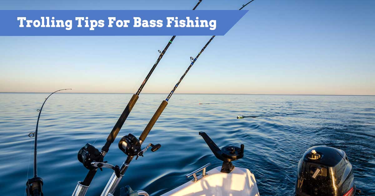 Trolling For Bass Tips And Guide To Land Bass Using A Trolling Motor