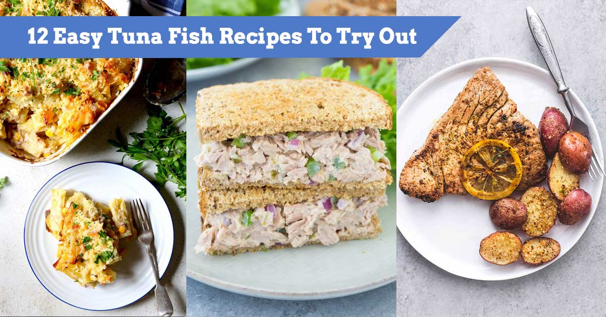 Quick And Easy Tuna Fish Recipes Deporecipe co