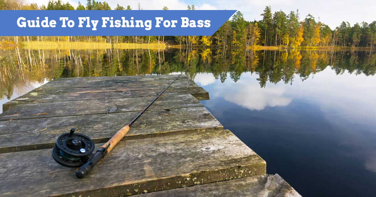 sage bass ii fly rod for sale