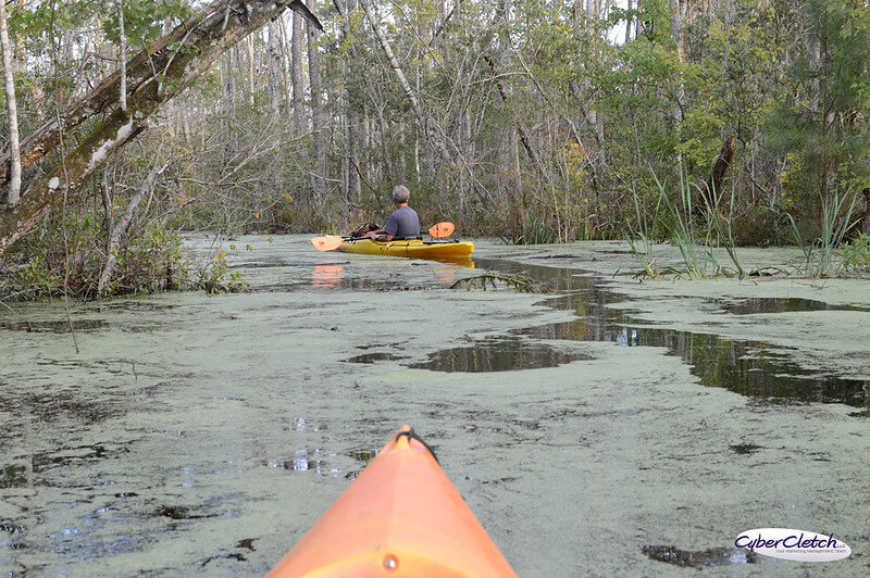 7 MUST SEE Places to Kayak in North Carolina NC Kayaking