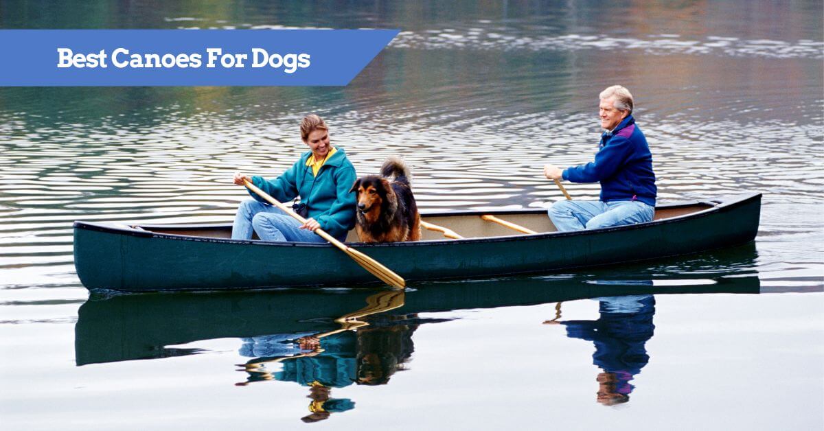 11 Best Canoes for Dogs [2024 REVIEW] Tips and Guide