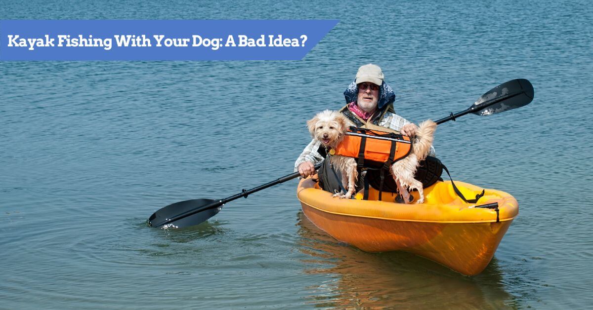 Is Kayak Fishing With Your Dog A Bad Idea? Read Our TIPS